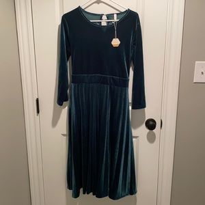 Pinkblush Maternity Velvet Dress